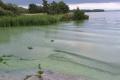 Warning that Lough Neagh recovery 'could take years'