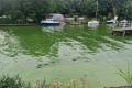 'Lough could spawn superbugs'