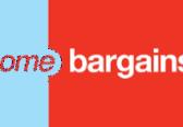 Home Bargains aims to set up shop at former Townparks Car Sales site