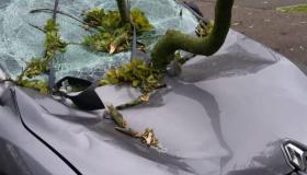 Driver Escapes Injury