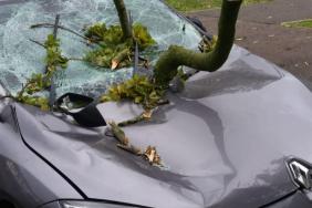 Driver Escapes Injury