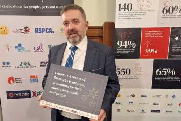 MP calls on council to back silent fireworks