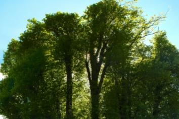 Remembering the airmen who perished in the dark shadow of the '12 Apostles'