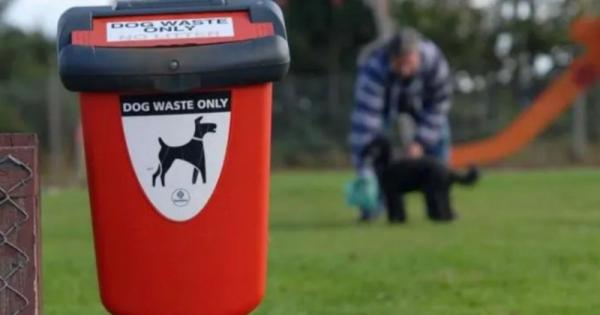 Borough has highest level of dog fouling complaints in UK per head of population