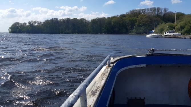 Ram's Island is a paradise in Lough Neagh - but volunteers need your help