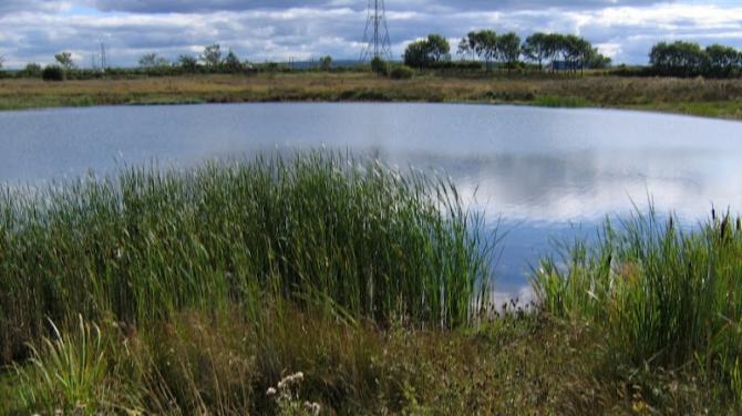 Tanks but no tanks - developer launches plans for drainage ponds to help alleviate flooding