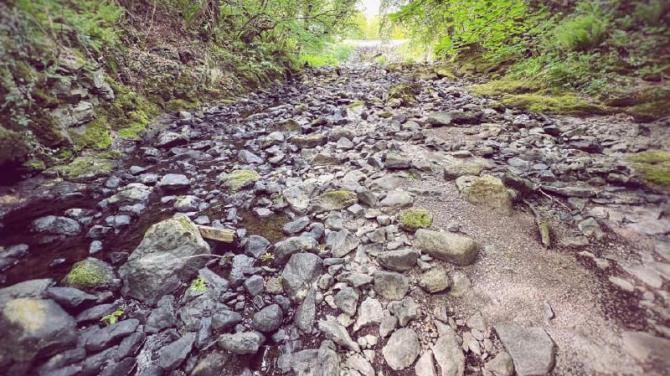 'We have no doubt our river will run dry again in 2024' - Crumlin anglers