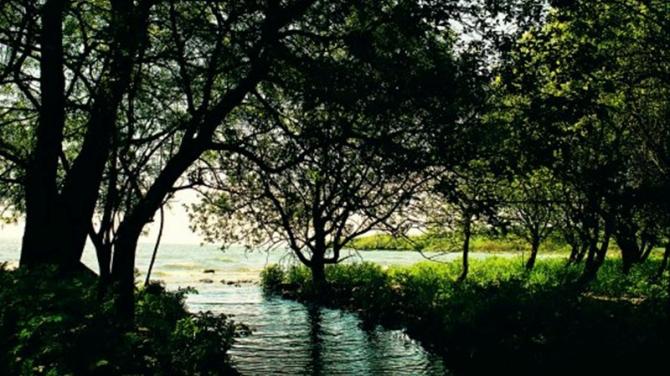 Rea's Wood bathing water quality is rated 'poor'