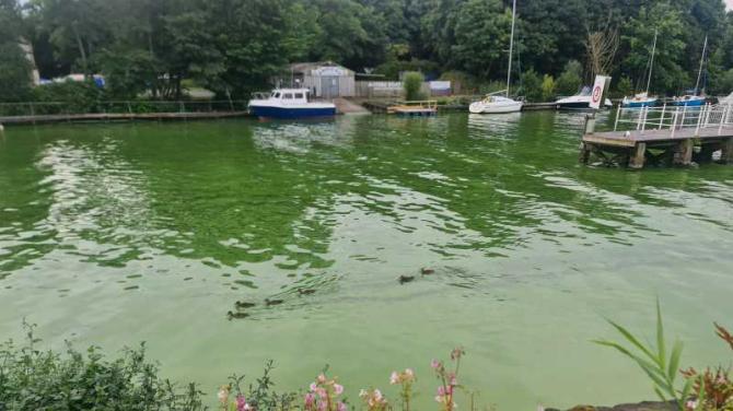 Three companies are chosen to help monitor Lough Neagh pollution from space