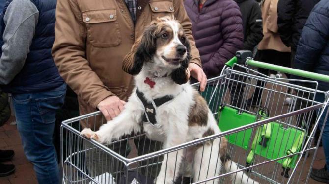 'The Barket' is back, for pets and their people!