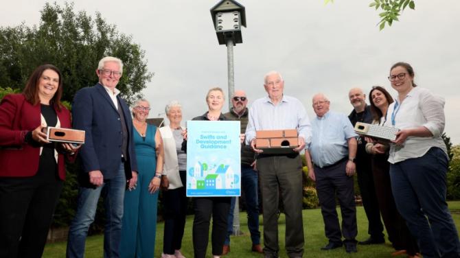 Council is first in Northern Ireland to launch new initiative to protect Swifts