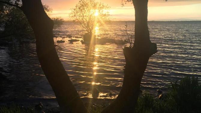 Stormont debate hears that Lough Neagh crisis is 'a national emergency'