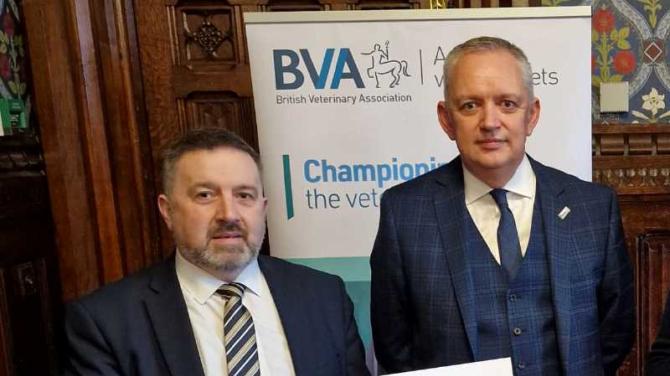 Swann receives BVA honour