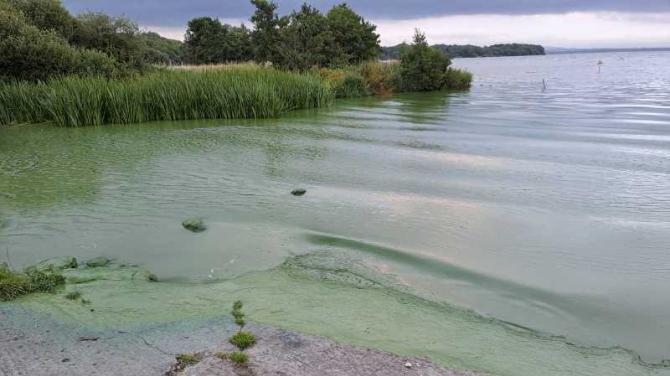 Warning that Lough Neagh recovery 'could take years'