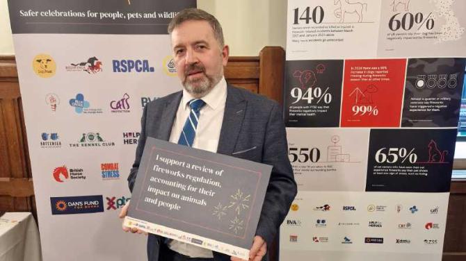 MP calls on council to back silent fireworks