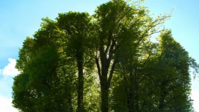 Remembering the airmen who perished in the dark shadow of the '12 Apostles'